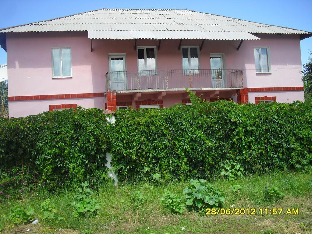 Hostel Ask Karakol Esterno foto
